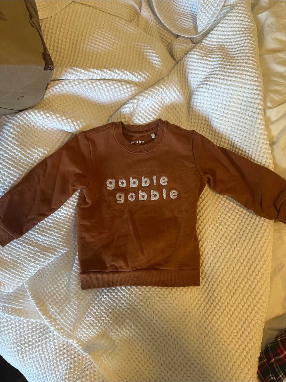 Petit Lem Rust Brown "gobble gobble" Pullover Sweatshirt 12 months